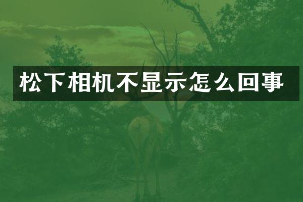 相机不显示怎么回事