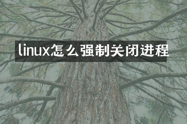 linux怎么强制关闭进程