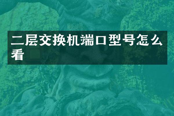 二层交换机端口型号怎么看