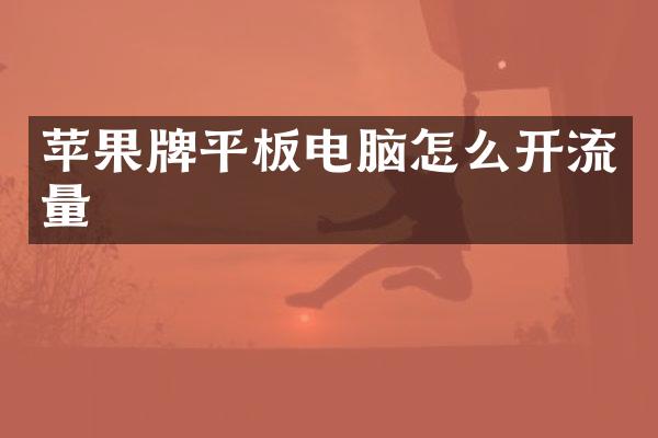 苹果牌平板电脑怎么开流量