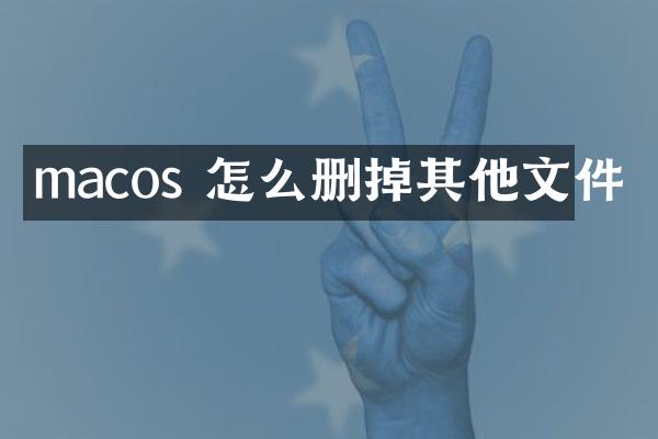 macos 怎么删掉其他文件