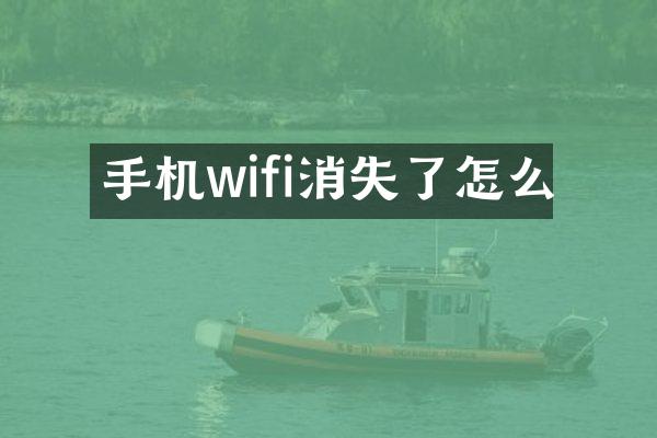 手机wifi消失了怎么