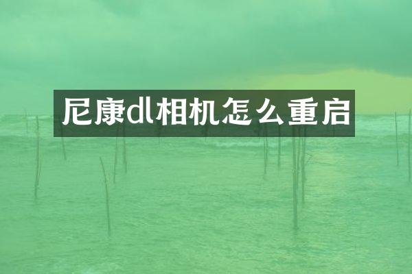 尼康dl相机怎么重启