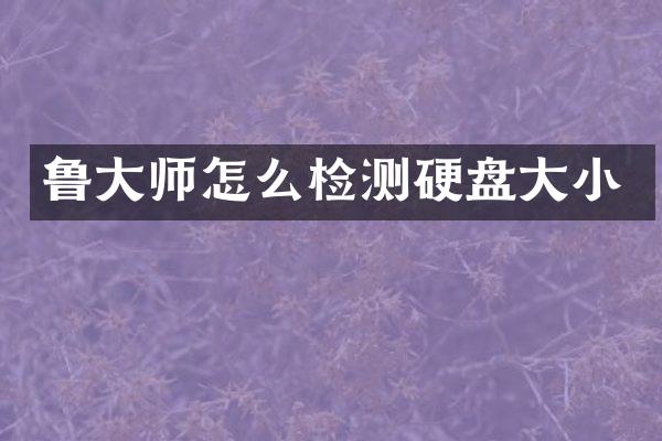 鲁大师怎么检测硬盘大小