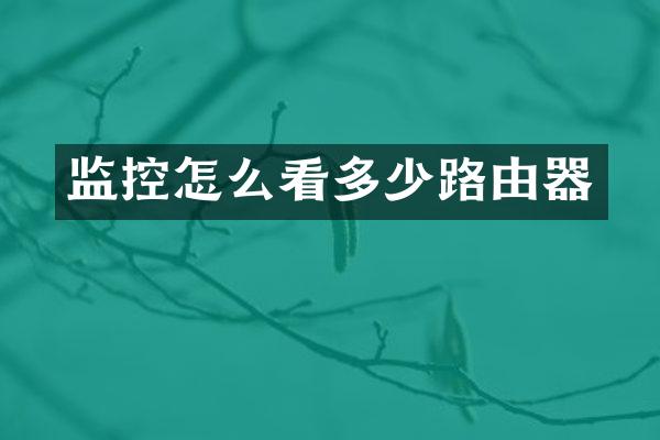监控怎么看多少路由器