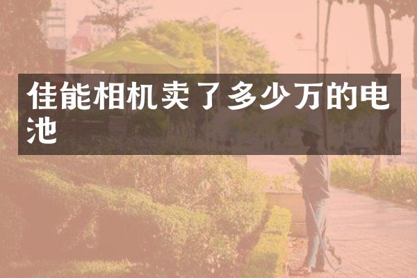 佳能相机卖了多少万的电池