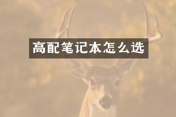 高配笔记本怎么选