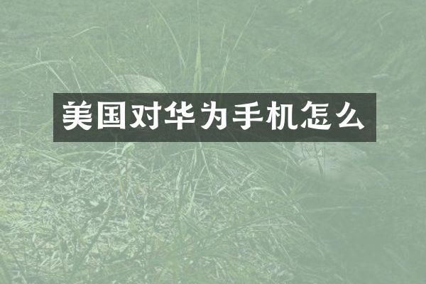 美国对华为手机怎么