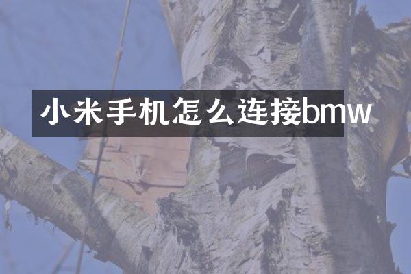 小米手机怎么连接bmw