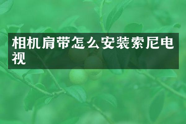 相机肩带怎么安装电视