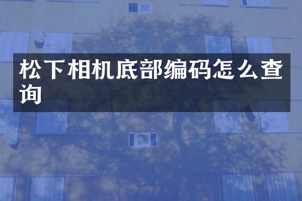 相机底部编码怎么查询