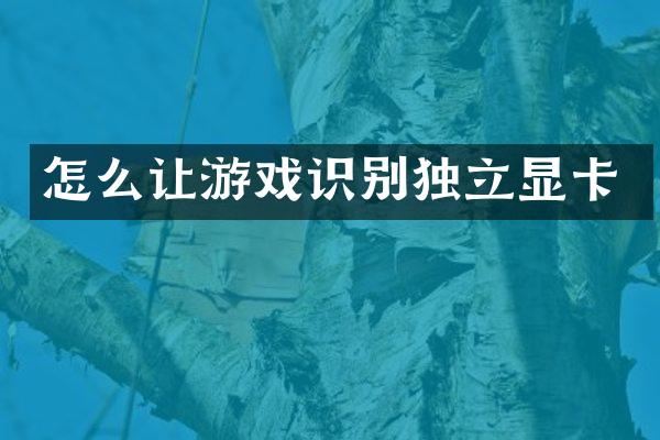 怎么让游戏识别独立显卡