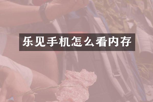 乐见手机怎么看内存