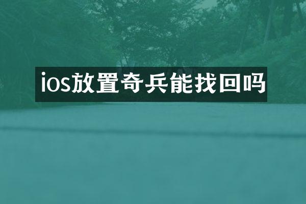 ios放置奇兵能找回吗