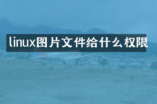 linux图片文件给什么权限
