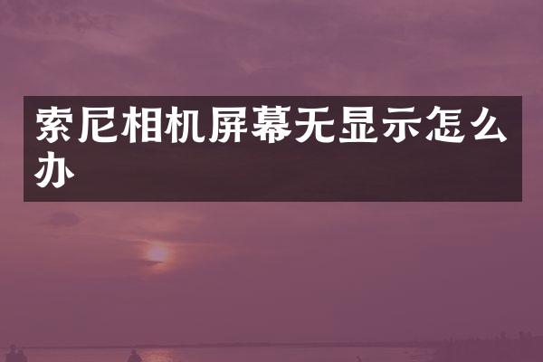 相机屏幕无显示怎么办