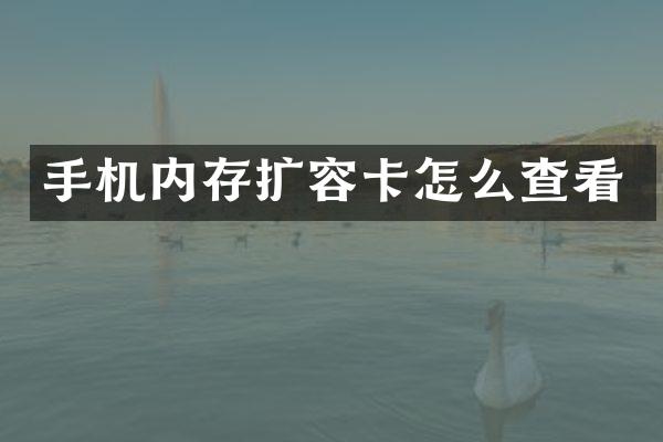 手机内存扩容卡怎么查看
