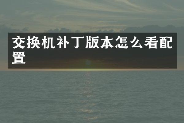 交换机补丁版本怎么看配置