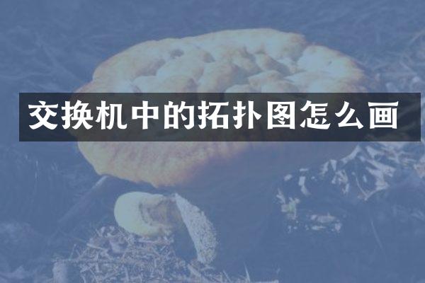 交换机中的拓扑图怎么画