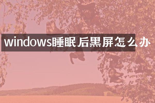 windows睡眠后黑屏怎么办