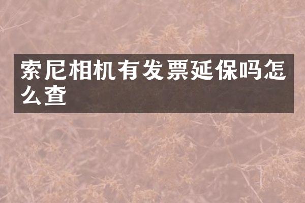 相机有发票延保吗怎么查