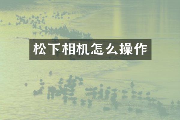 相机怎么操作