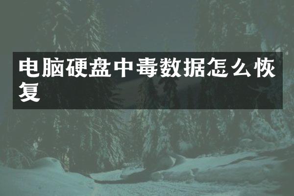 电脑硬盘中毒数据怎么恢复