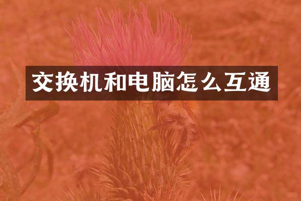 交换机和电脑怎么互通