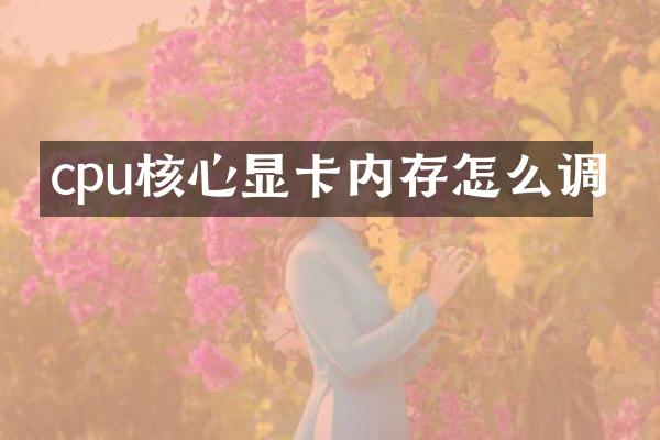 cpu核心显卡内存怎么调