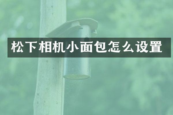 相机小面包怎么设置