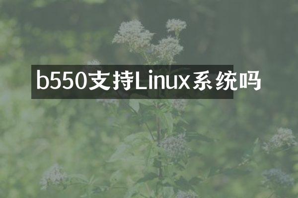 b550支持Linux系统吗