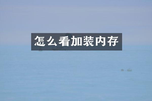 怎么看加装内存