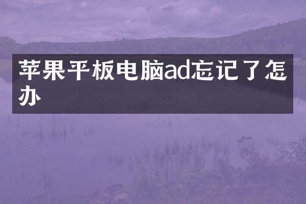 苹果平板电脑ad忘记了怎么办