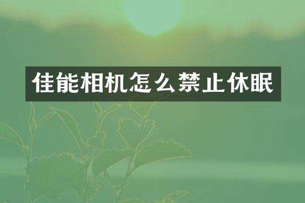 佳能相机怎么禁止休眠