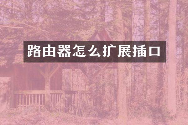 路由器怎么扩展插口