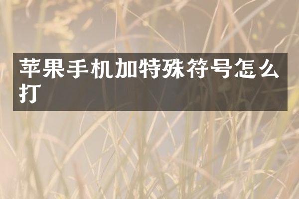 苹果手机加特殊符号怎么打
