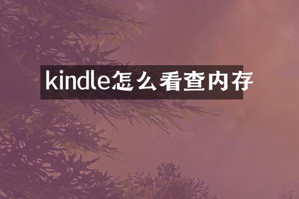 kindle怎么看查内存