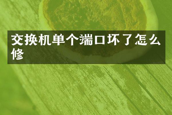 交换机单个端口坏了怎么修