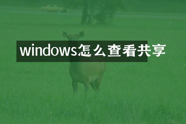windows怎么查看共享