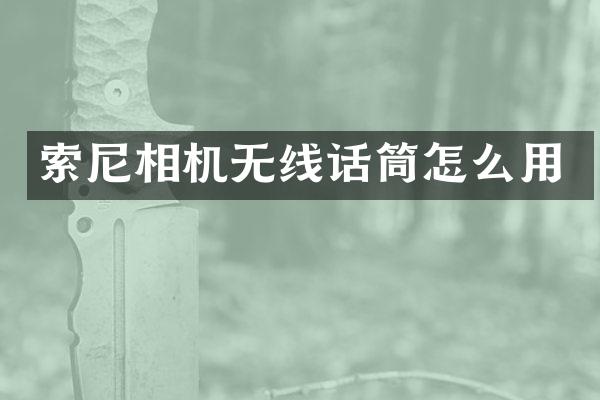 相机无线话筒怎么用