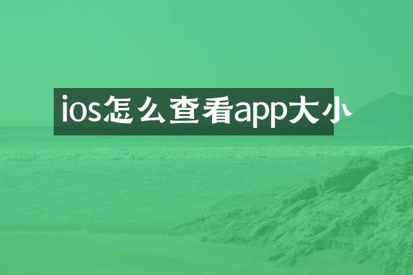 ios怎么查看app大小