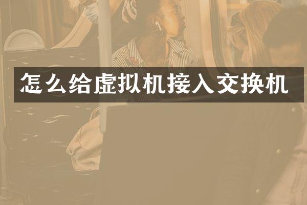 怎么给虚拟机接入交换机