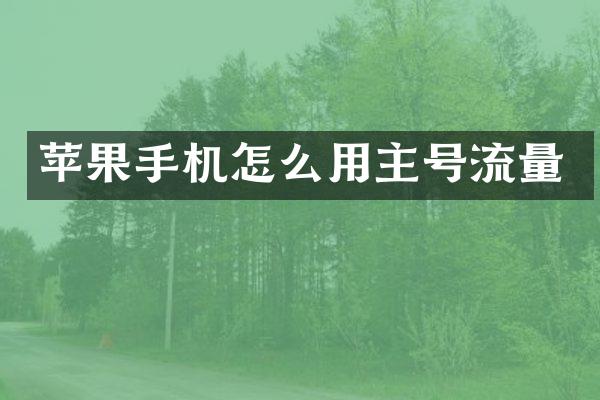 苹果手机怎么用主号流量