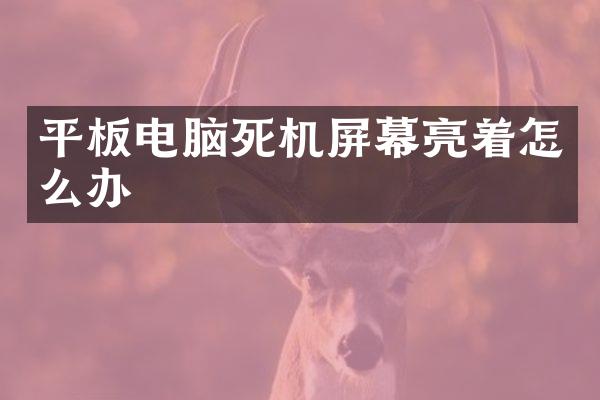 平板电脑死机屏幕亮着怎么办