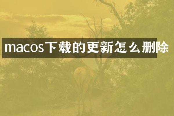 macos下载的更新怎么删除