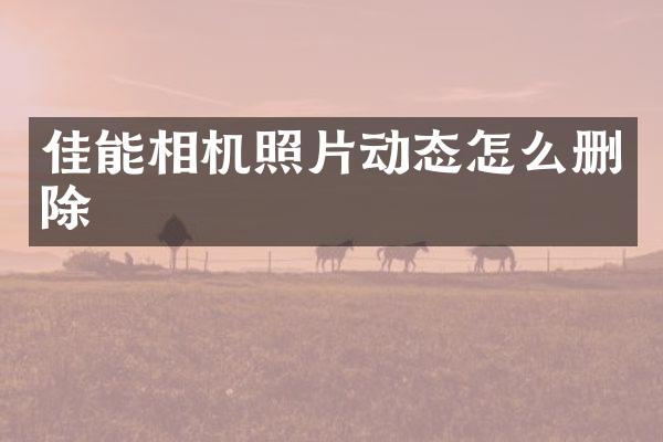 佳能相机照片动态怎么删除