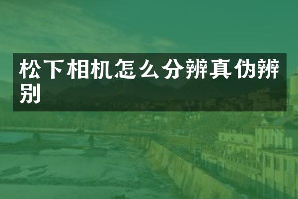 相机怎么分辨真伪辨别