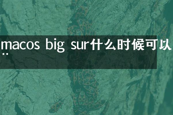 macos big sur什么时候可以用