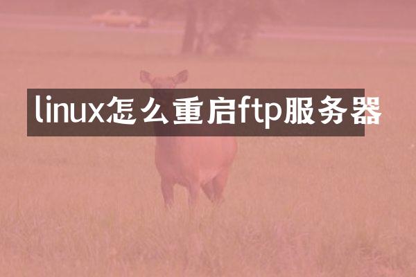 linux怎么重启ftp服务器
