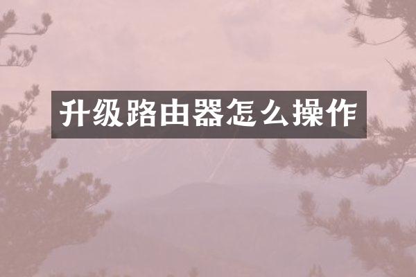 升级路由器怎么操作